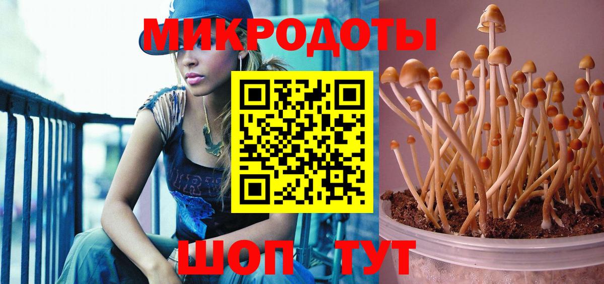Псилоцибиновые грибы ЛСД Коммунар